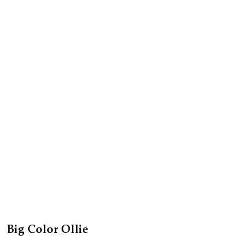 Big Color Ollie